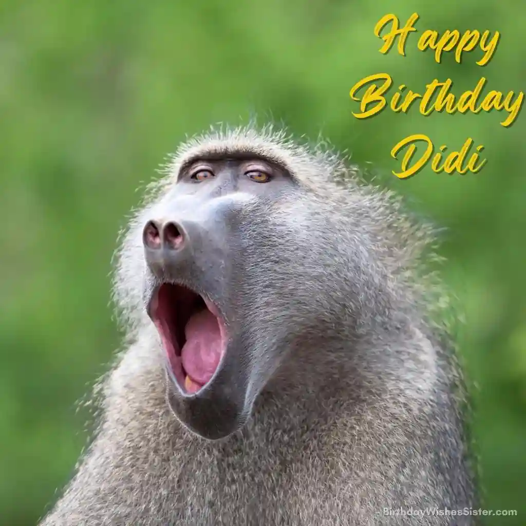 75+ Happy Birthday Didi Images, Pictures & Photos